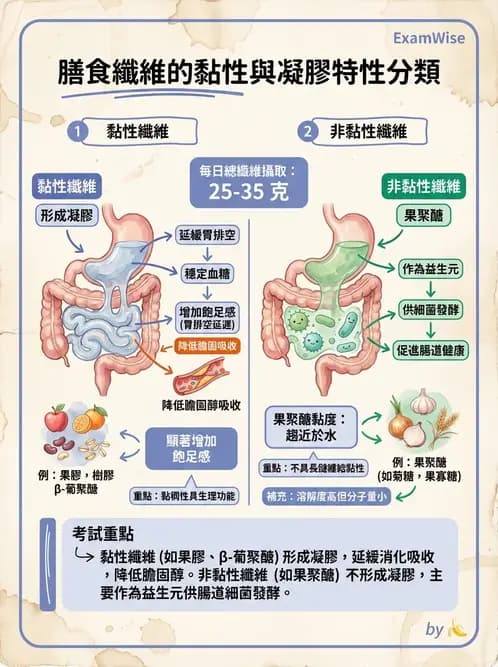 營養 - 醣類結構與膳食纖維 - AI 圖文解析預覽