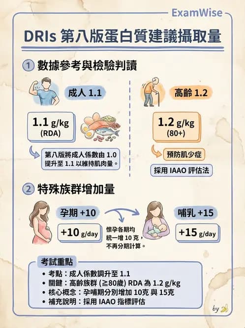 營養 - 蛋白質結構、功能與需求量 - AI 圖文解析預覽