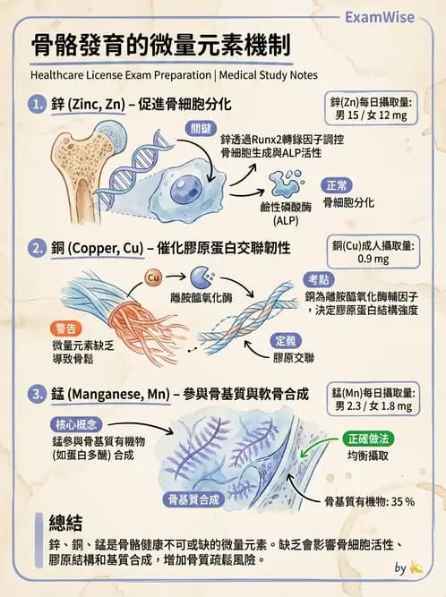 營養 - 鋅與銅營養 - AI 圖文解析預覽
