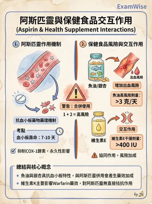 營養 - 兒童青少年與老年營養 - AI 圖文解析預覽