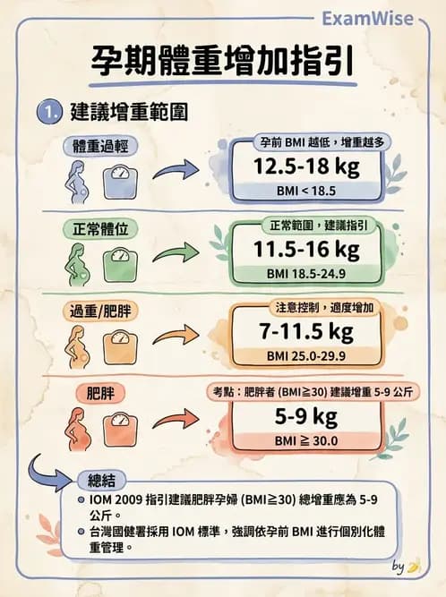 營養 - 孕期與哺乳期營養 - AI 圖文解析預覽