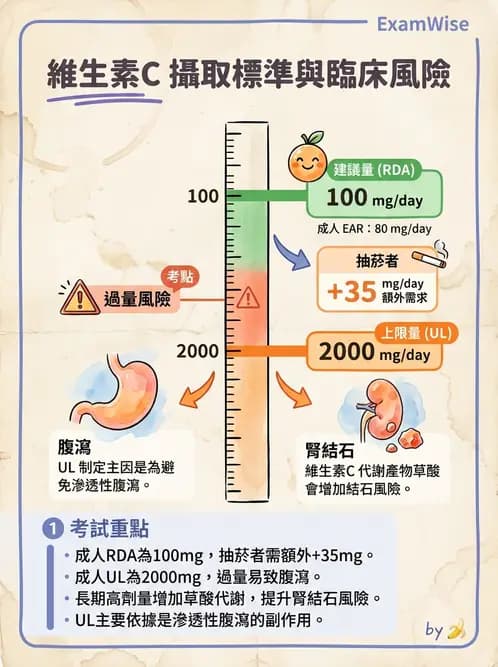 營養 - DRIs與飲食指南 - AI 圖文解析預覽