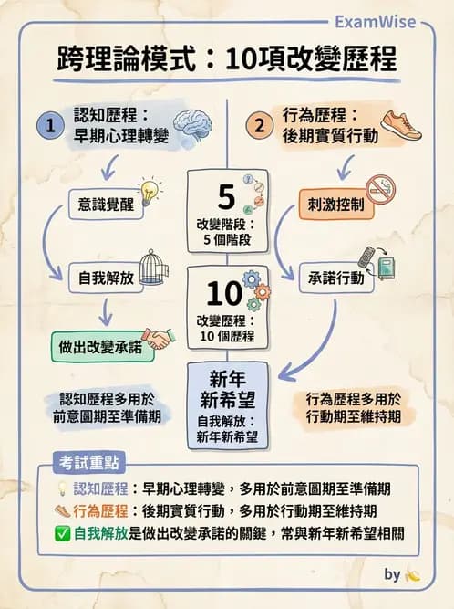 營養 - 健康行為改變理論 - AI 圖文解析預覽