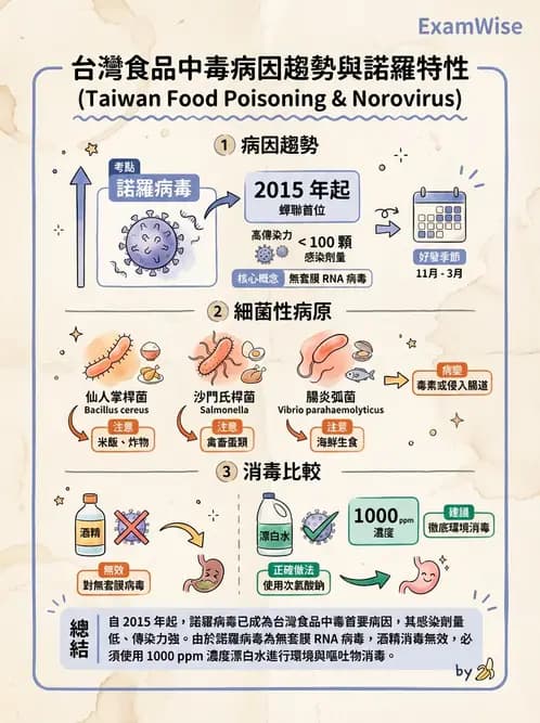 營養 - 食品腐敗微生物學 - AI 圖文解析預覽