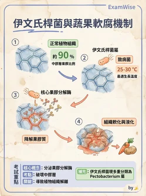 營養 - 食品腐敗微生物學 - AI 圖文解析預覽
