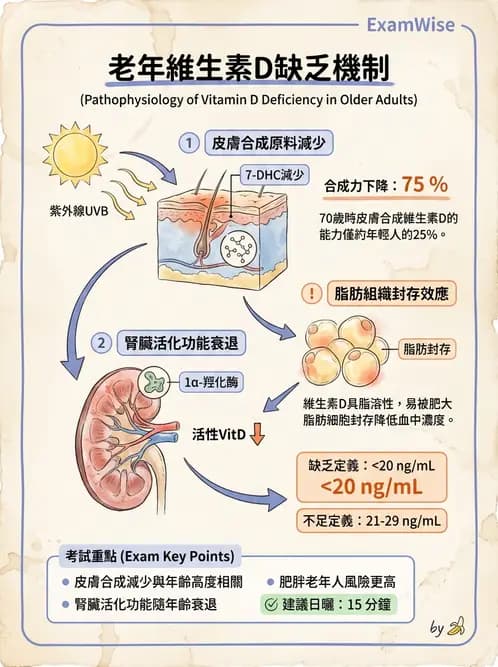 營養 - 骨骼與關節疾病 - AI 圖文解析預覽