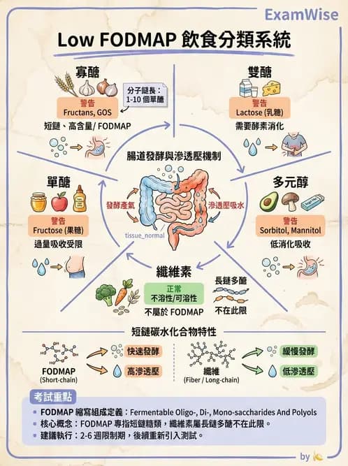 營養 - 腸胃道疾病 - AI 圖文解析預覽