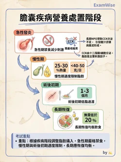 營養 - 肝膽疾病 - AI 圖文解析預覽