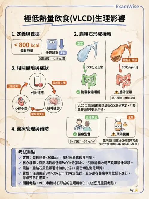 營養 - 體重管理與攝食異常 - AI 圖文解析預覽
