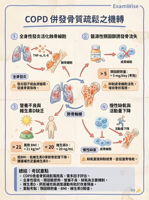 營養 - 呼吸系統疾病 - AI 圖文解析預覽