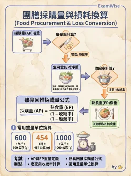 營養 - 食材用量計算與食物代換 - AI 圖文解析預覽