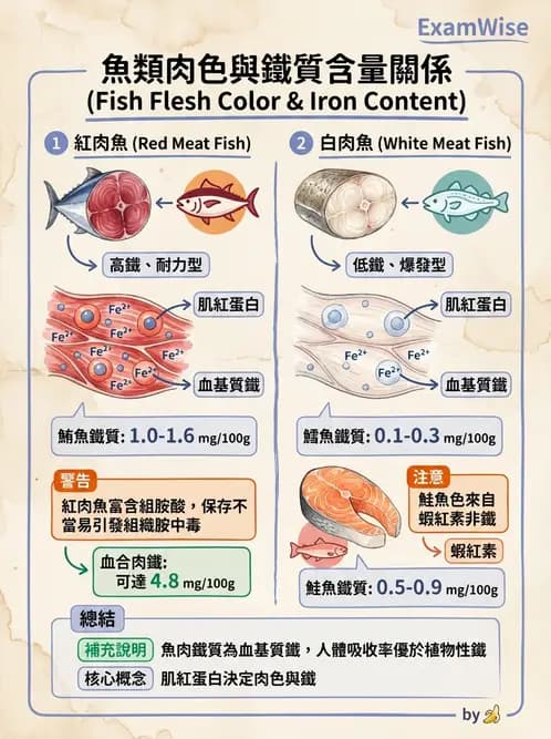 營養 - 動植物性食材製備原理 - AI 圖文解析預覽