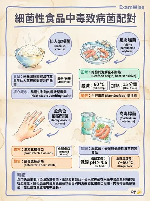 營養 - 食品安全衛生管理 - AI 圖文解析預覽