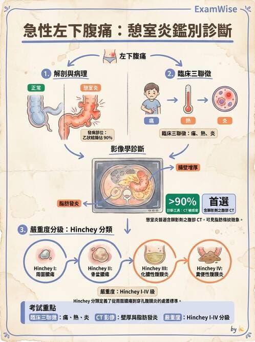 專師 - 腸道疾病與肛門直腸 - AI 圖文解析預覽