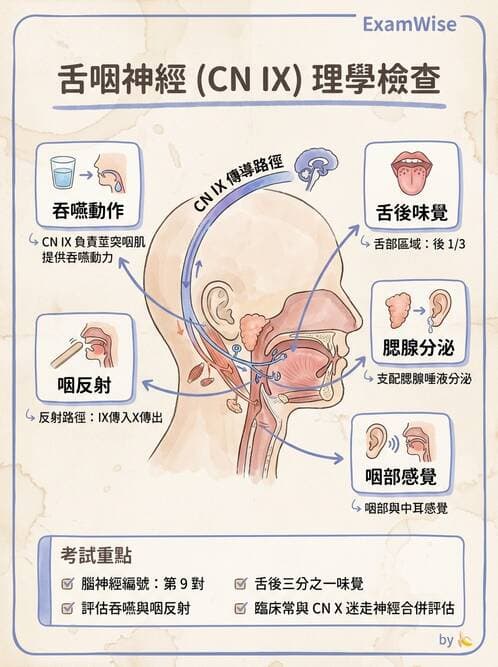 專師 - 腦神經檢查與神經學評估 - AI 圖文解析預覽