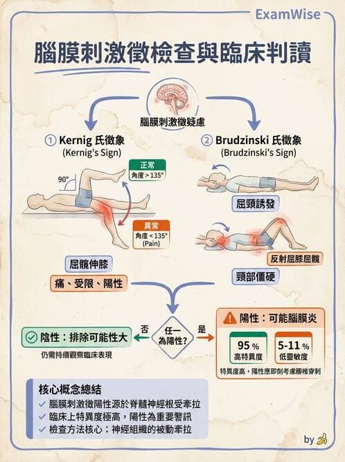 專師 - 腦神經檢查與神經學評估 - AI 圖文解析預覽