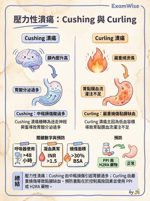 專師 - 上消化道 - AI 圖文解析預覽