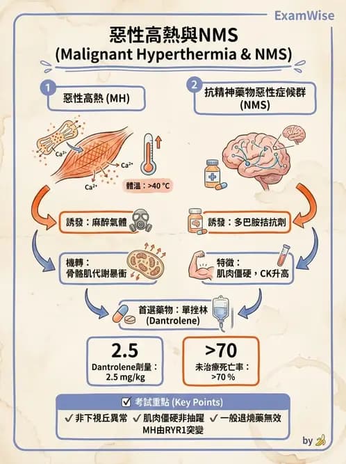 專師 - 麻醉與術後併發症 - AI 圖文解析預覽