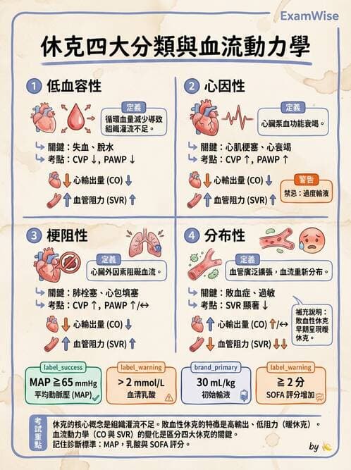 專師 - 敗血症診斷與評估工具 - AI 圖文解析預覽