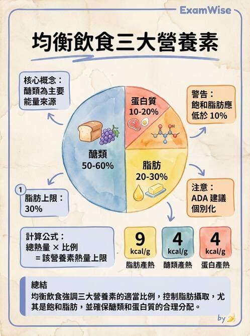 專師 - 營養學 - AI 圖文解析預覽