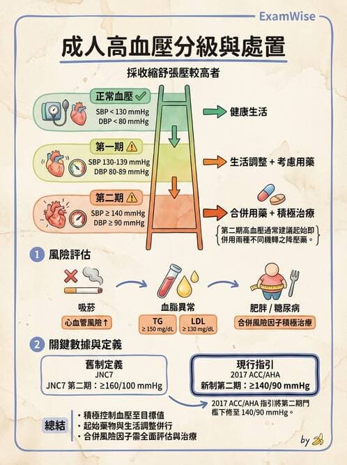 專師 - 高血壓與藥物治療 - AI 圖文解析預覽
