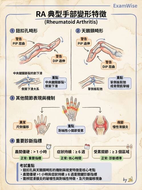 專師 - 風濕免疫疾病 - AI 圖文解析預覽