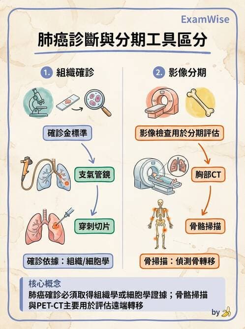 專師 - 胸腔外科 - AI 圖文解析預覽