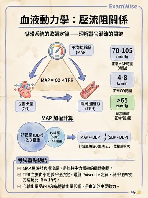 營養 - 心血管系統生理學 - AI 圖文解析預覽