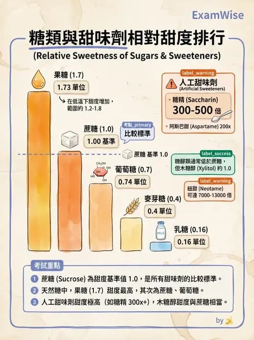 營養 - 醣類結構與膳食纖維 - AI 圖文解析預覽