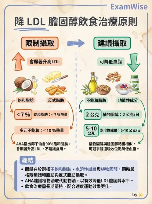 營養 - 脂蛋白與膽固醇代謝 - AI 圖文解析預覽