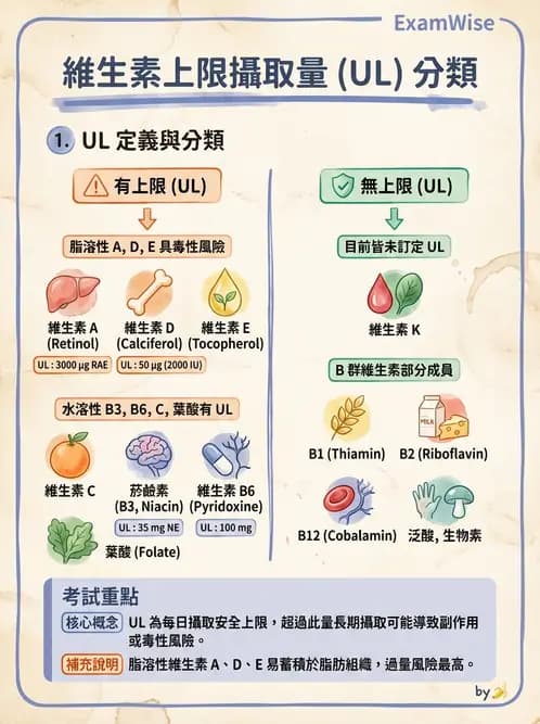 營養 - 維生素K - AI 圖文解析預覽