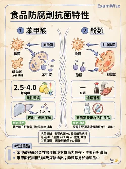 營養 - 食品添加物 - AI 圖文解析預覽