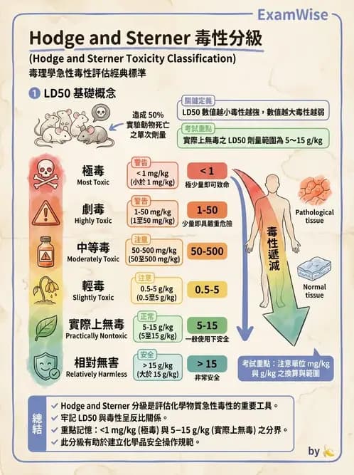 營養 - 食品安全性評估 - AI 圖文解析預覽