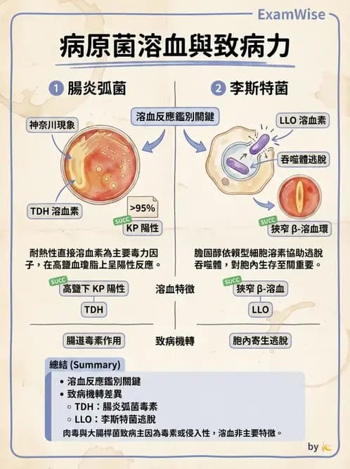 營養 - 食源性病原微生物 - AI 圖文解析預覽