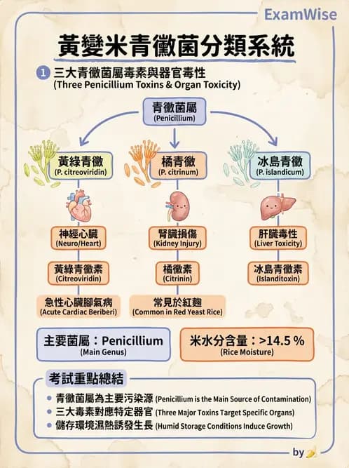 營養 - 食品腐敗微生物學 - AI 圖文解析預覽