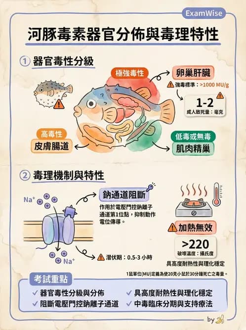 營養 - 天然毒素 - AI 圖文解析預覽