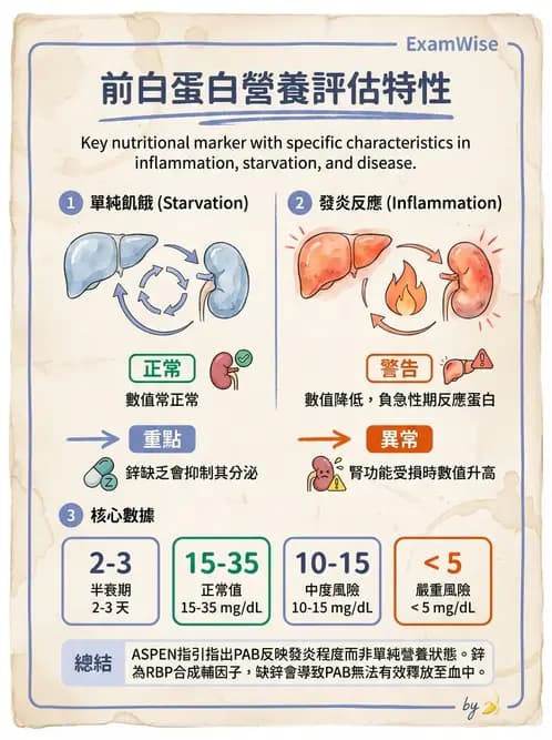 營養 - 營養評估與照護程序 - AI 圖文解析預覽