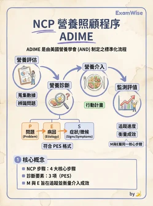 營養 - 營養評估與照護程序 - AI 圖文解析預覽