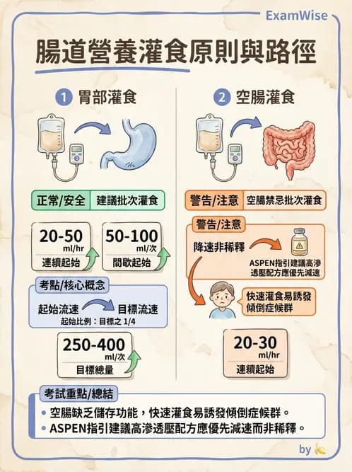 營養 - 營養支持 - AI 圖文解析預覽
