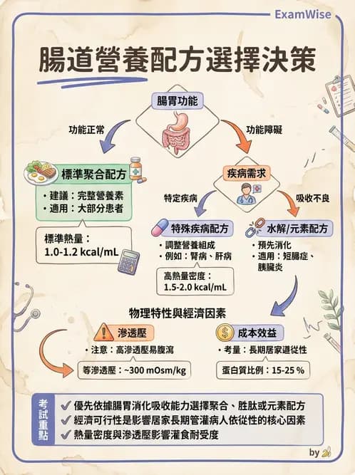 營養 - 營養支持 - AI 圖文解析預覽