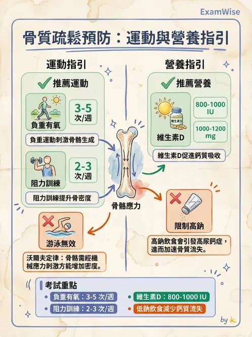 營養 - 骨骼與關節疾病 - AI 圖文解析預覽
