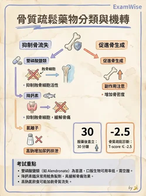 營養 - 骨骼與關節疾病 - AI 圖文解析預覽