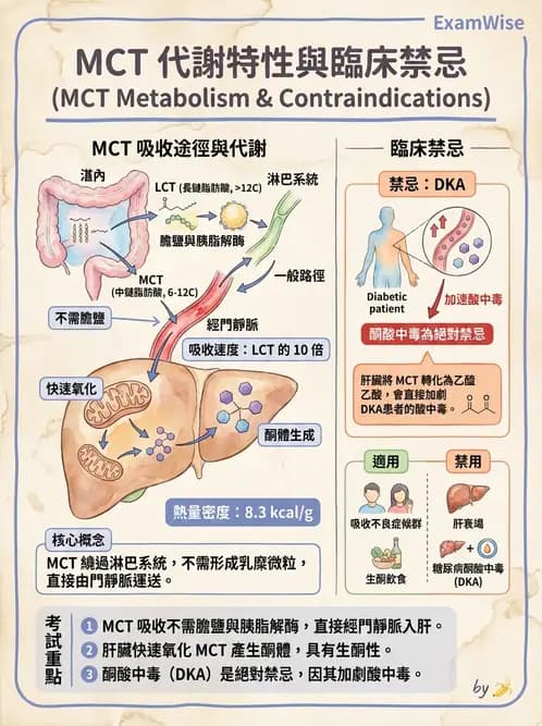 營養 - 營養支持 - AI 圖文解析預覽