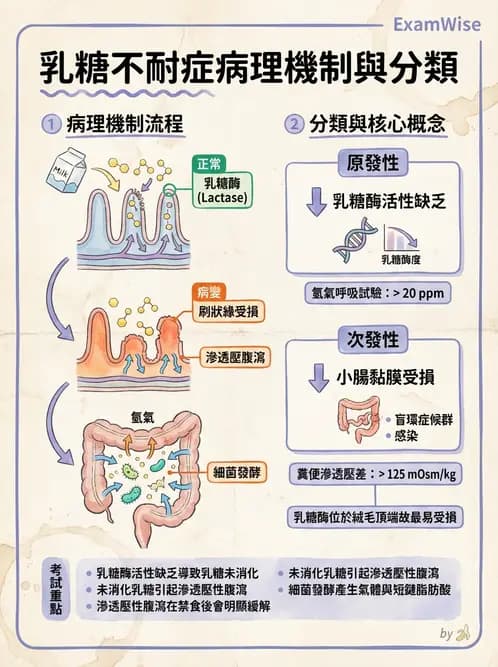 營養 - 腸胃道疾病 - AI 圖文解析預覽