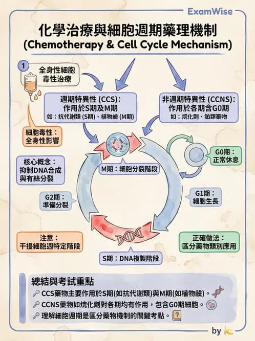 營養 - 癌症營養 - AI 圖文解析預覽