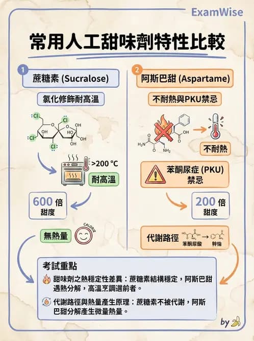 營養 - 醣類結構與膳食纖維 - AI 圖文解析預覽