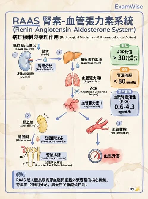 營養 - 巨量礦物質營養素 - AI 圖文解析預覽