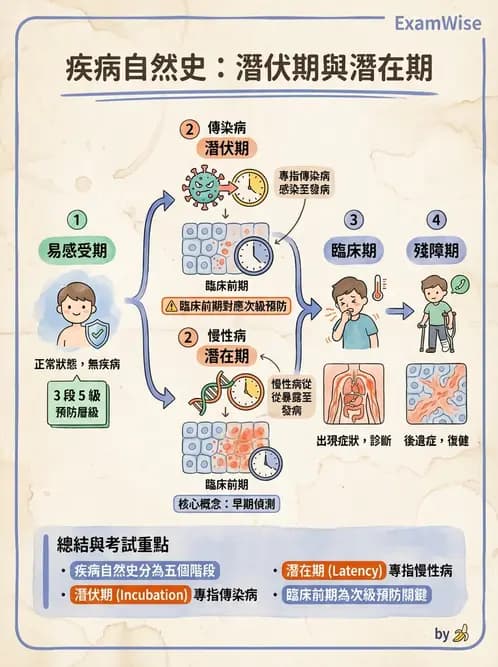 營養 - 公共衛生概論與預防醫學 - AI 圖文解析預覽