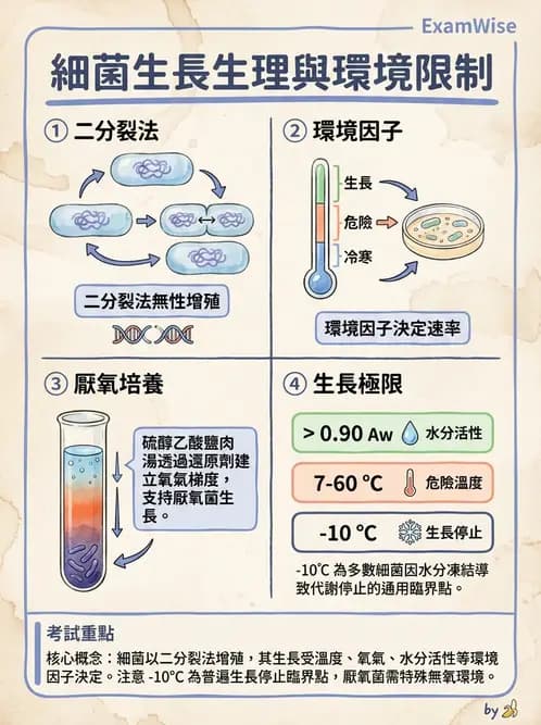 營養 - 食品腐敗微生物學 - AI 圖文解析預覽