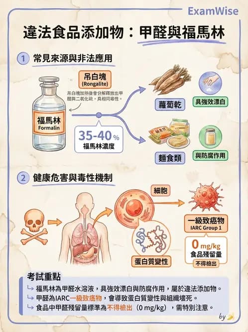 營養 - 食品添加物 - AI 圖文解析預覽